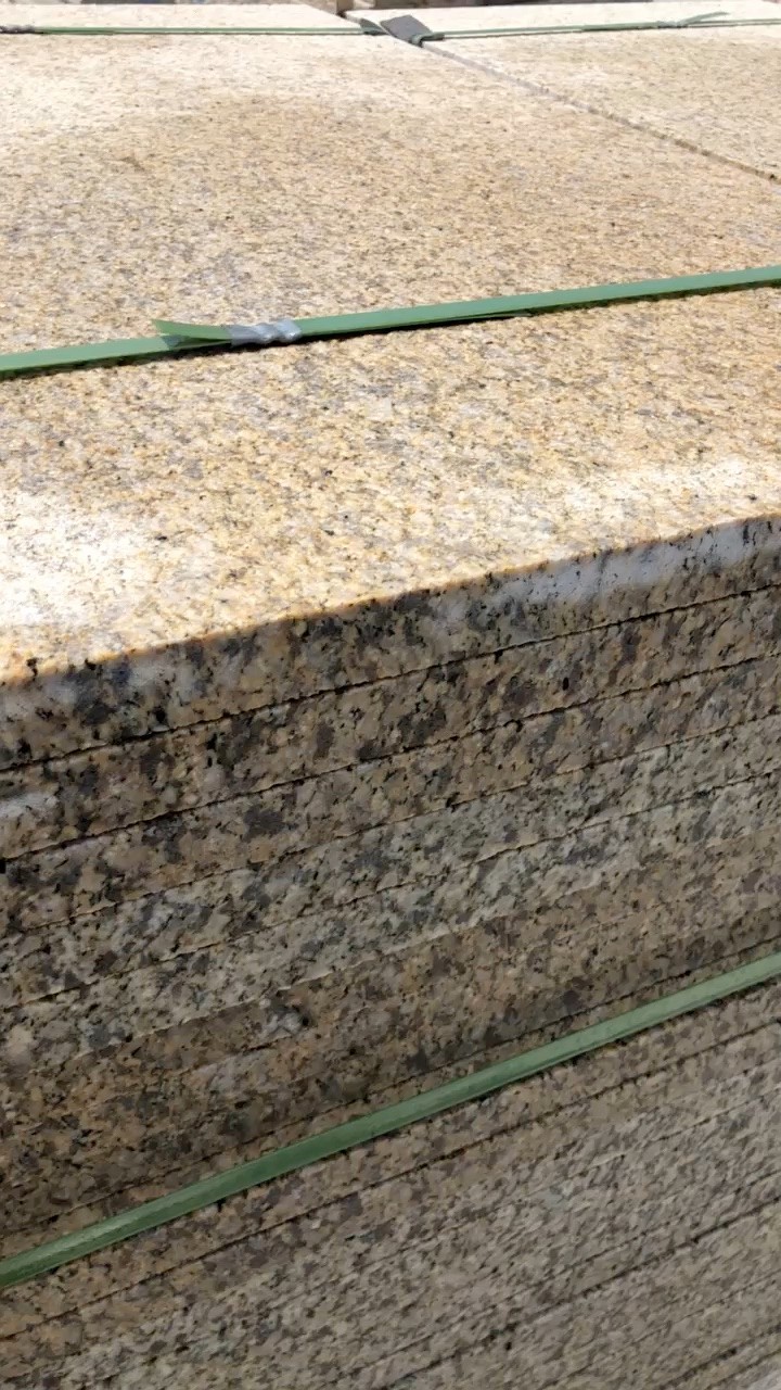 黄金钻中黄荔枝面