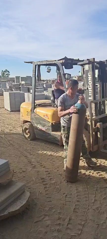 湛江黑、新中国黑、海南黑、蒙古黑