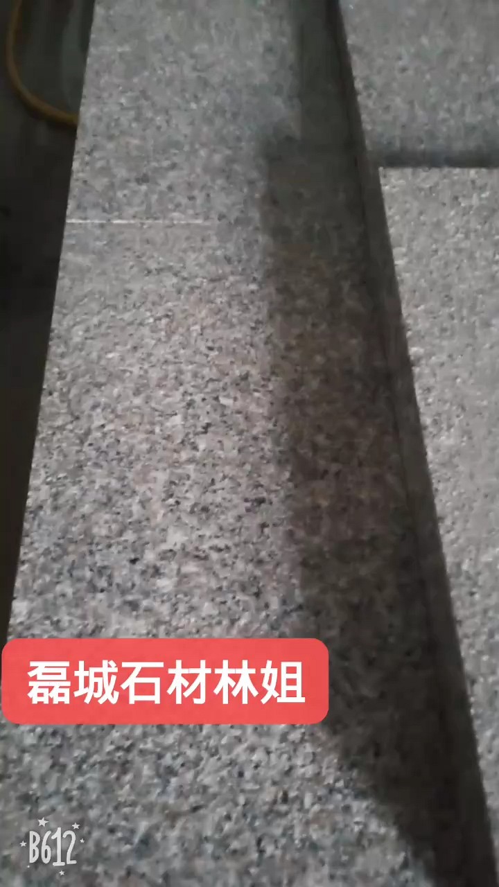 石井红636，5公分