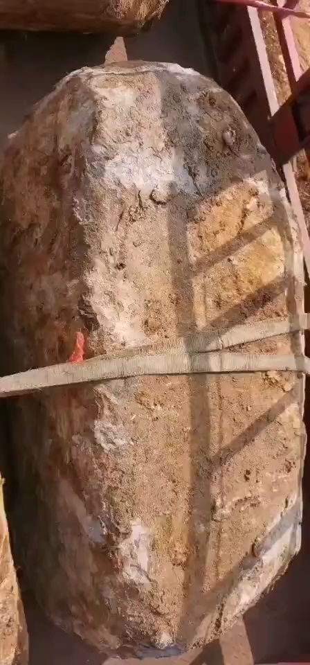 辛苦了兄弟们，谢谢我的亲们