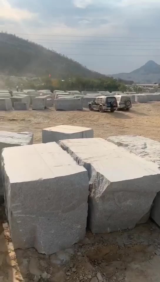 石井红636按吨卖了，不要错过了哦！吨料60元／90元一吨，需要买的可以私聊林姐