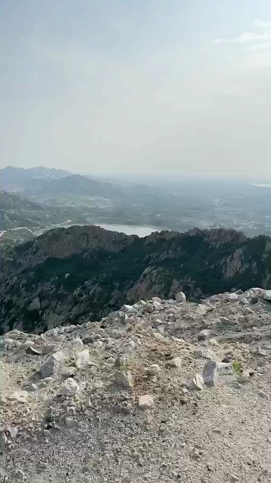 珍珠红、山东虾红、樱花红、石岛红