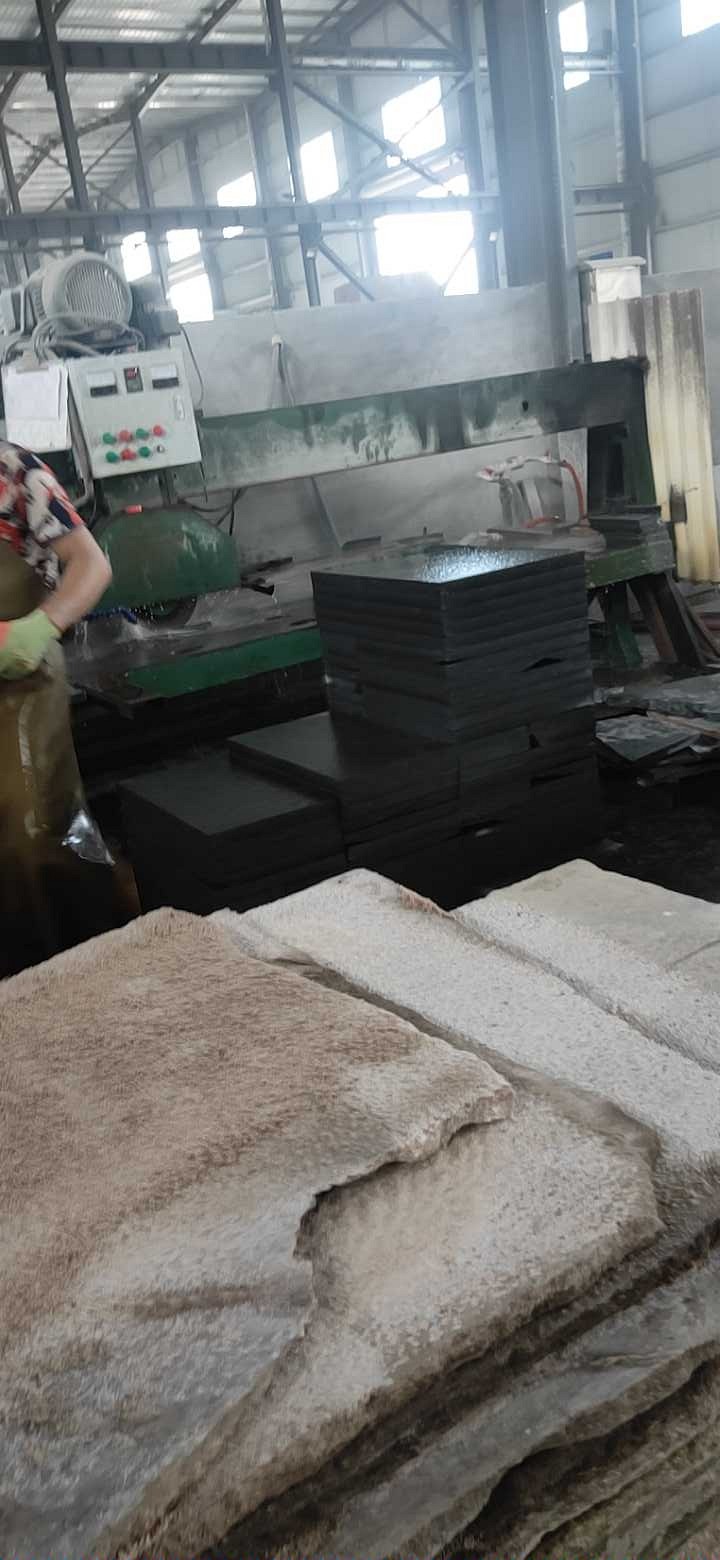 什福鼎黑沙漠棕生产大量