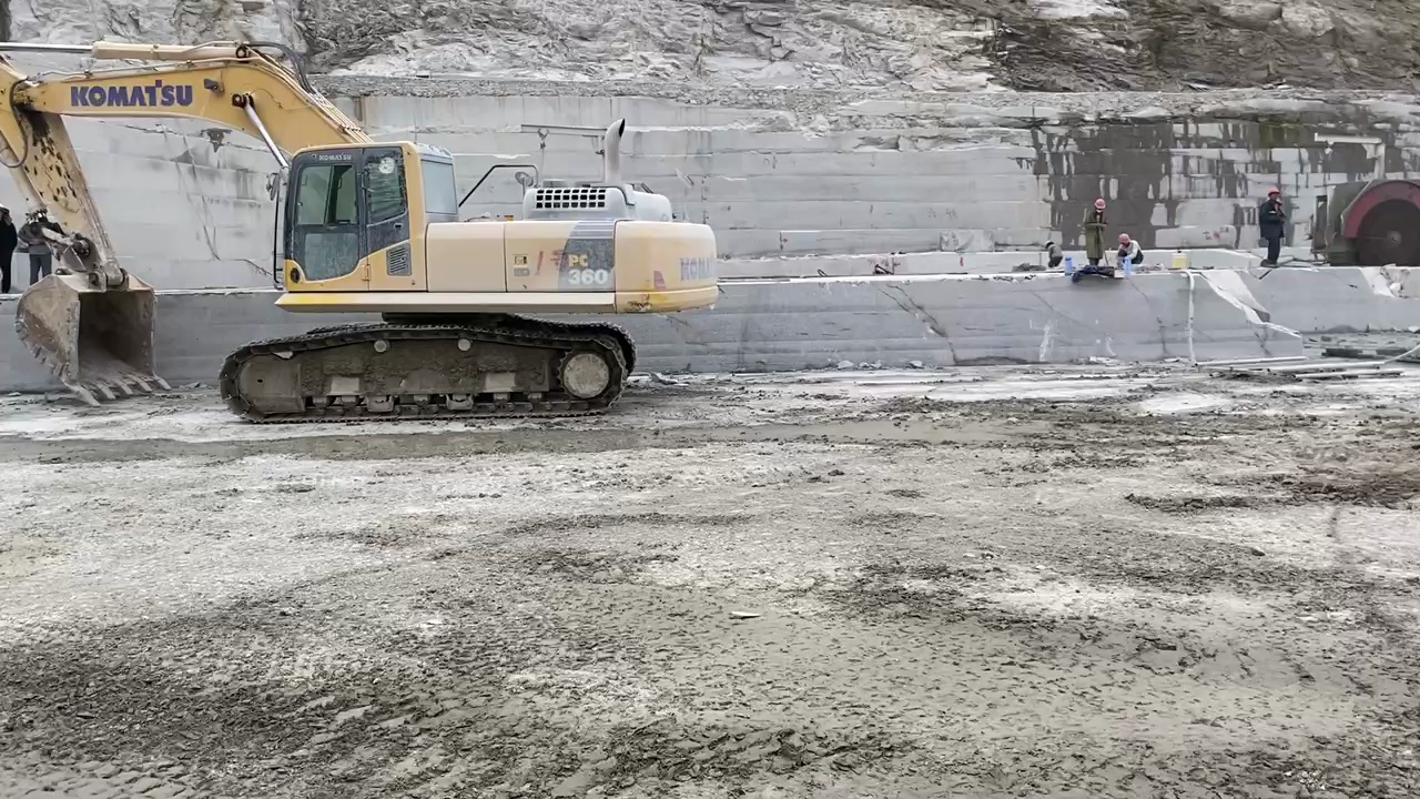 梅花红，封开花，广西芝麻黑（G654）