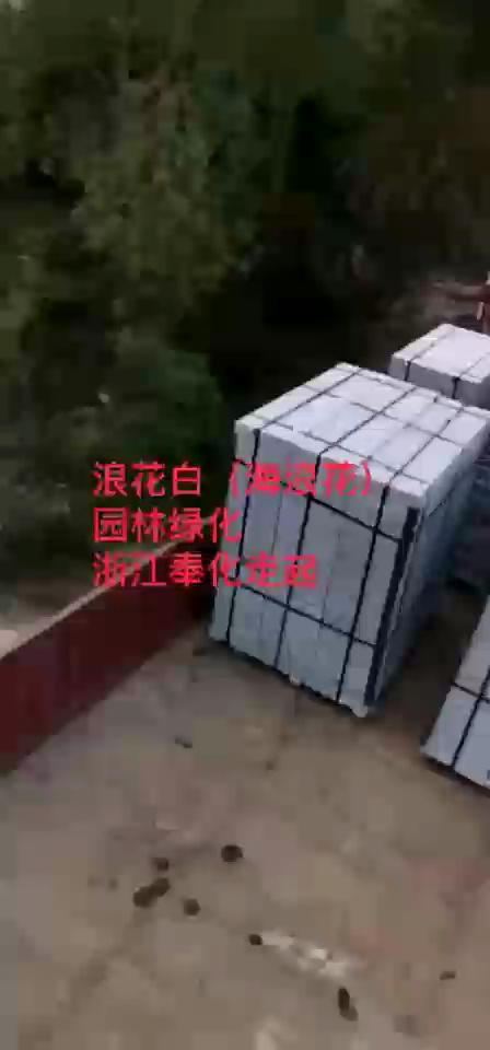 主营：浪花白，海浪花，广东603，廉江芝麻白，芝麻灰，枫叶红，湛江黑