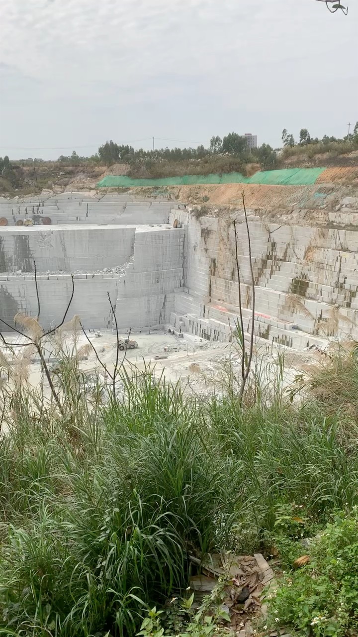 厂家直销主营直纹浪花白广东海浪花廉江芝麻白枫叶红粉红麻湛江黑芝麻