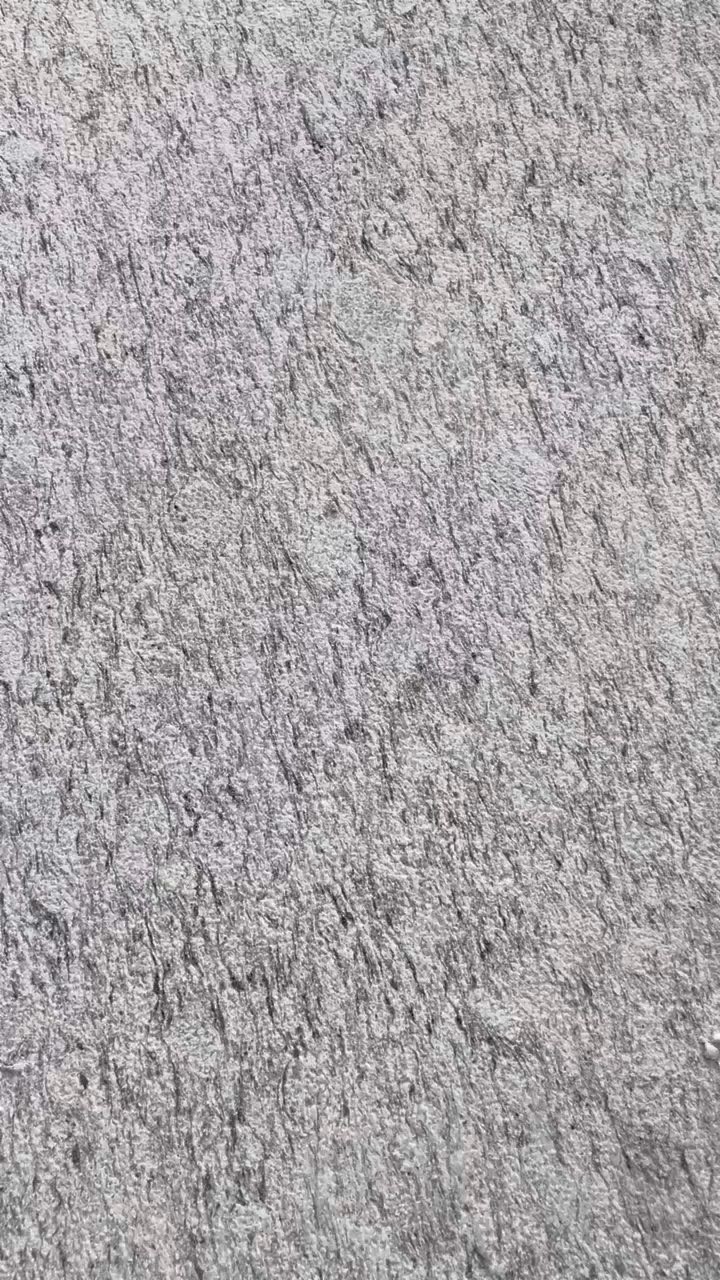 厂家直销主营直纹浪花白广东海浪花廉江芝麻白枫叶红粉红麻湛江黑芝麻