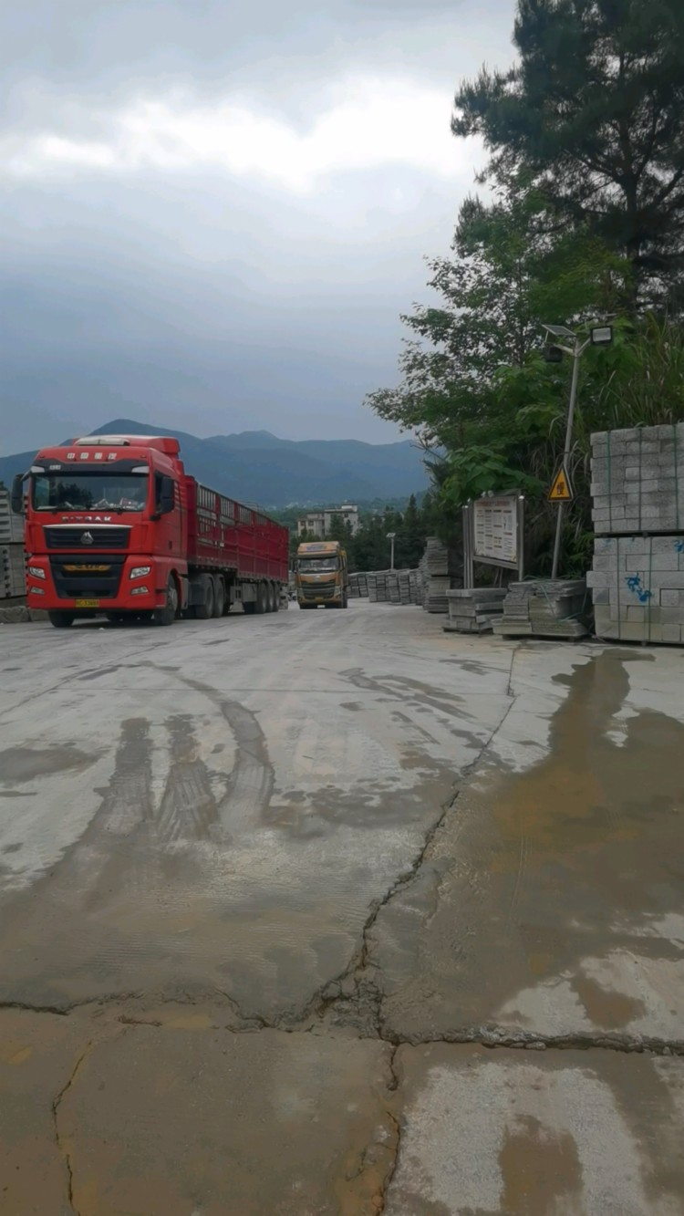 珍珠兰板材发货