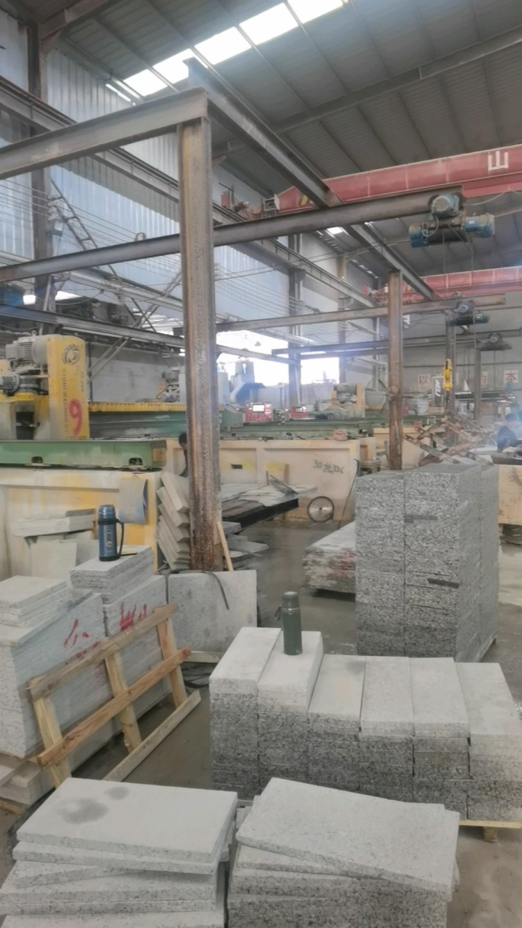 珍珠兰，芝麻白，芝麻黑，大量供应