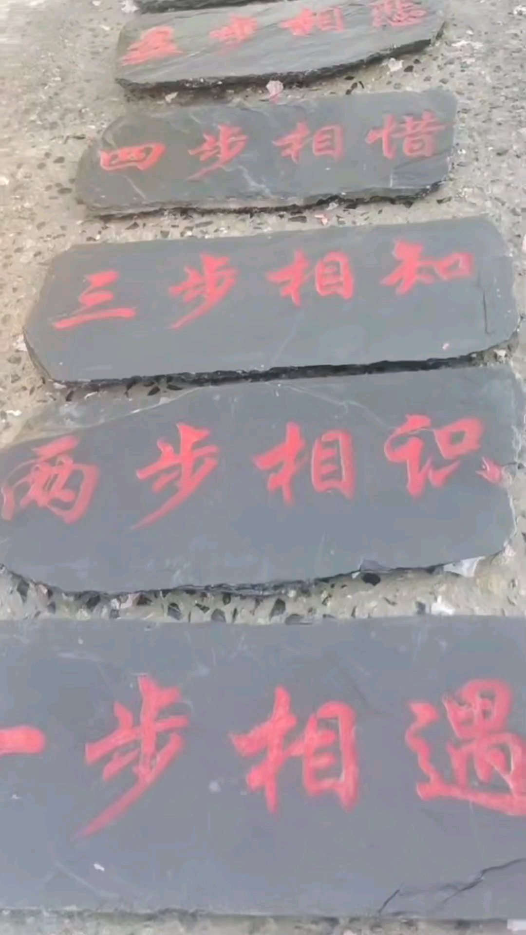 一步相遇两步相识三步相知四步相惜五步相恋六步相爱七步相伴八步相