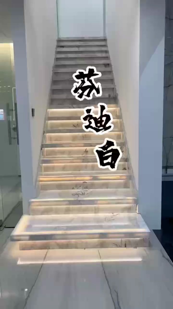 芬迪白