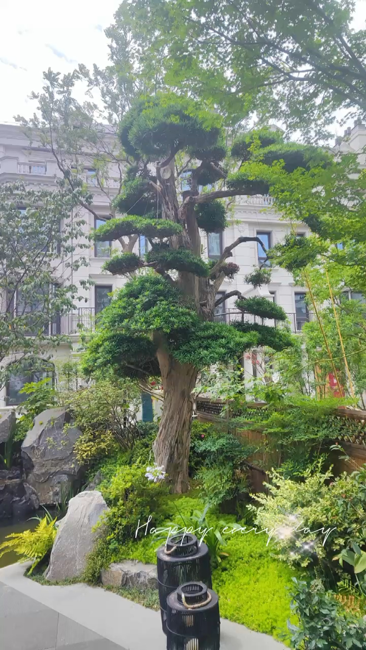 中式园林黑石打造