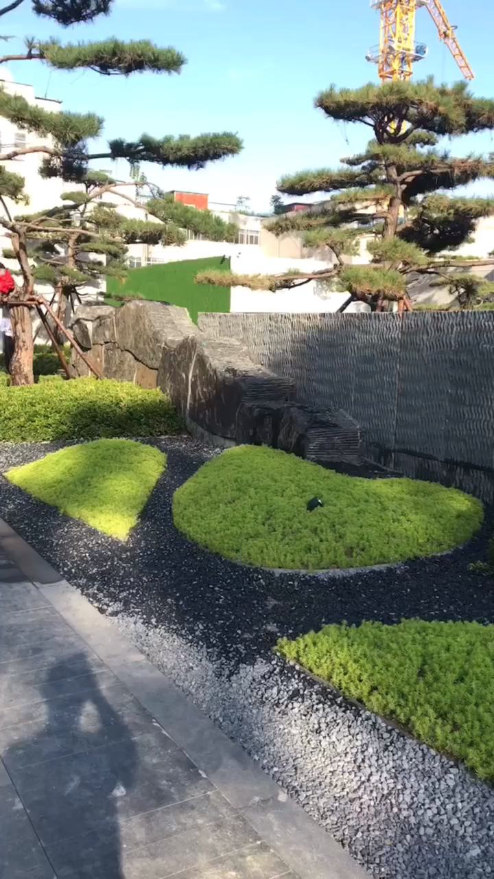 售楼部精品水景