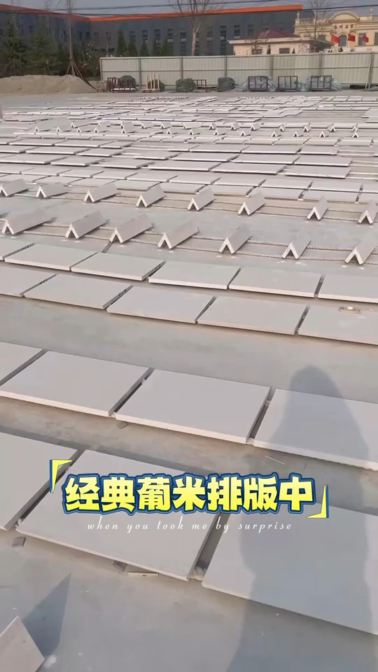 经典葡米排版准备发货了