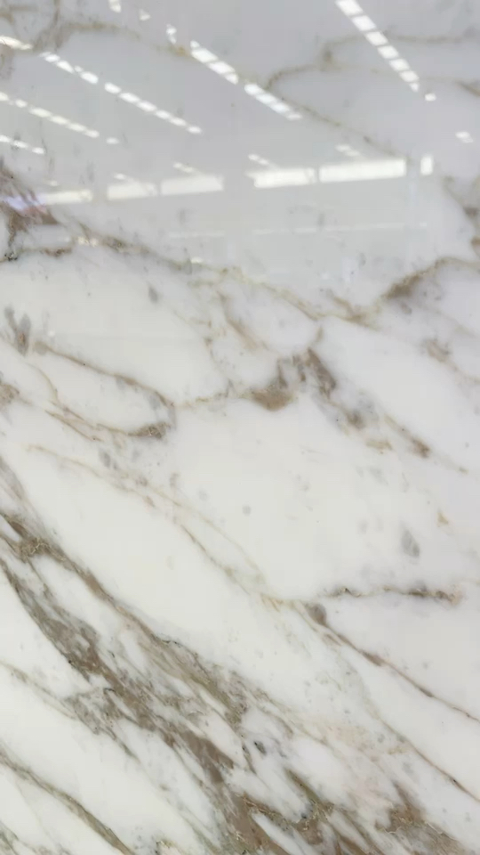 意大利🇮🇹鱼肚金