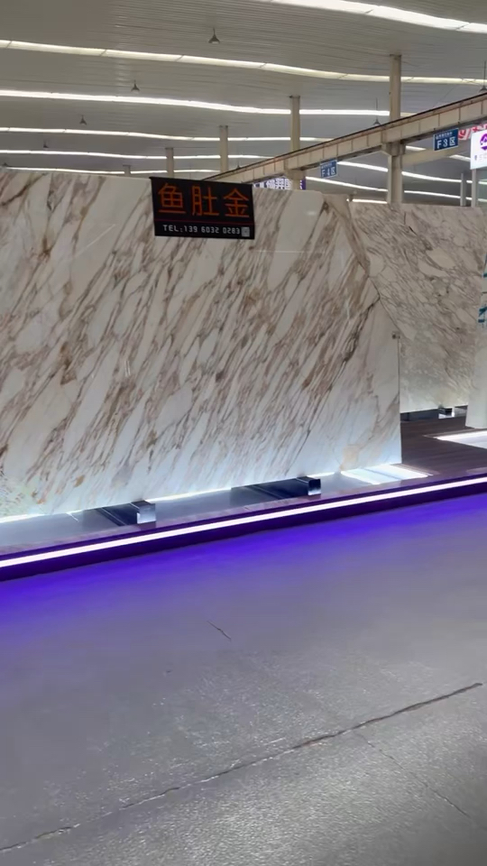 意大利🇮🇹鱼肚金