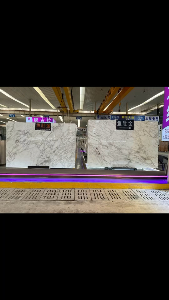 意大利🇮🇹鱼肚金