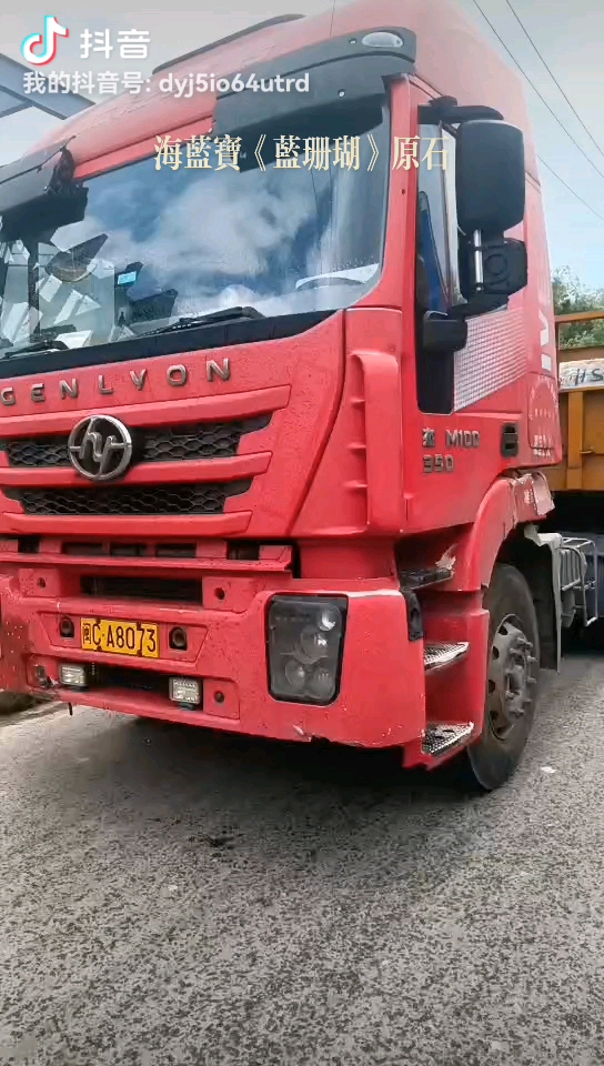 海蓝宝《蓝珊瑚》