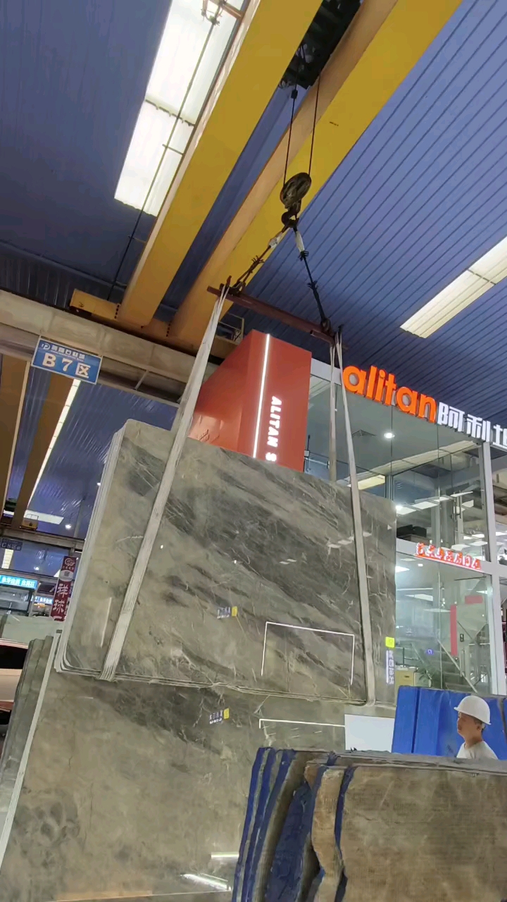 阿利坦DJ品种蓝金灰