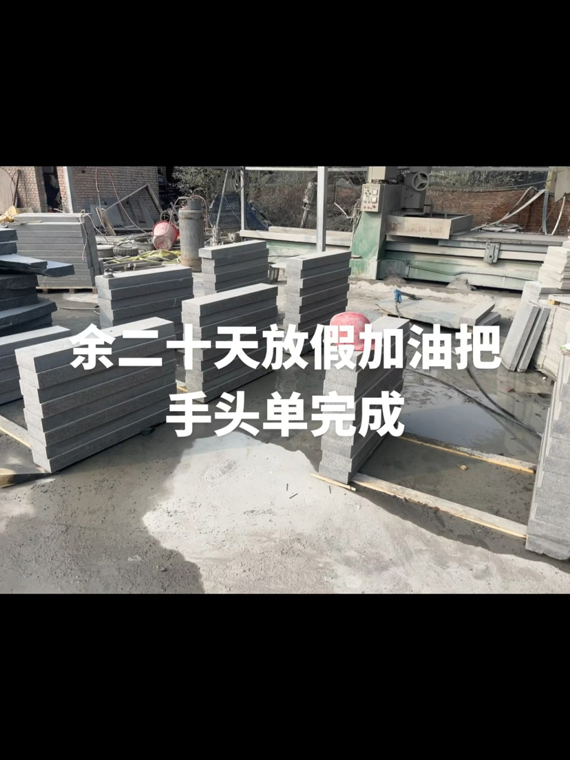 滨州青北大青福鼎黑