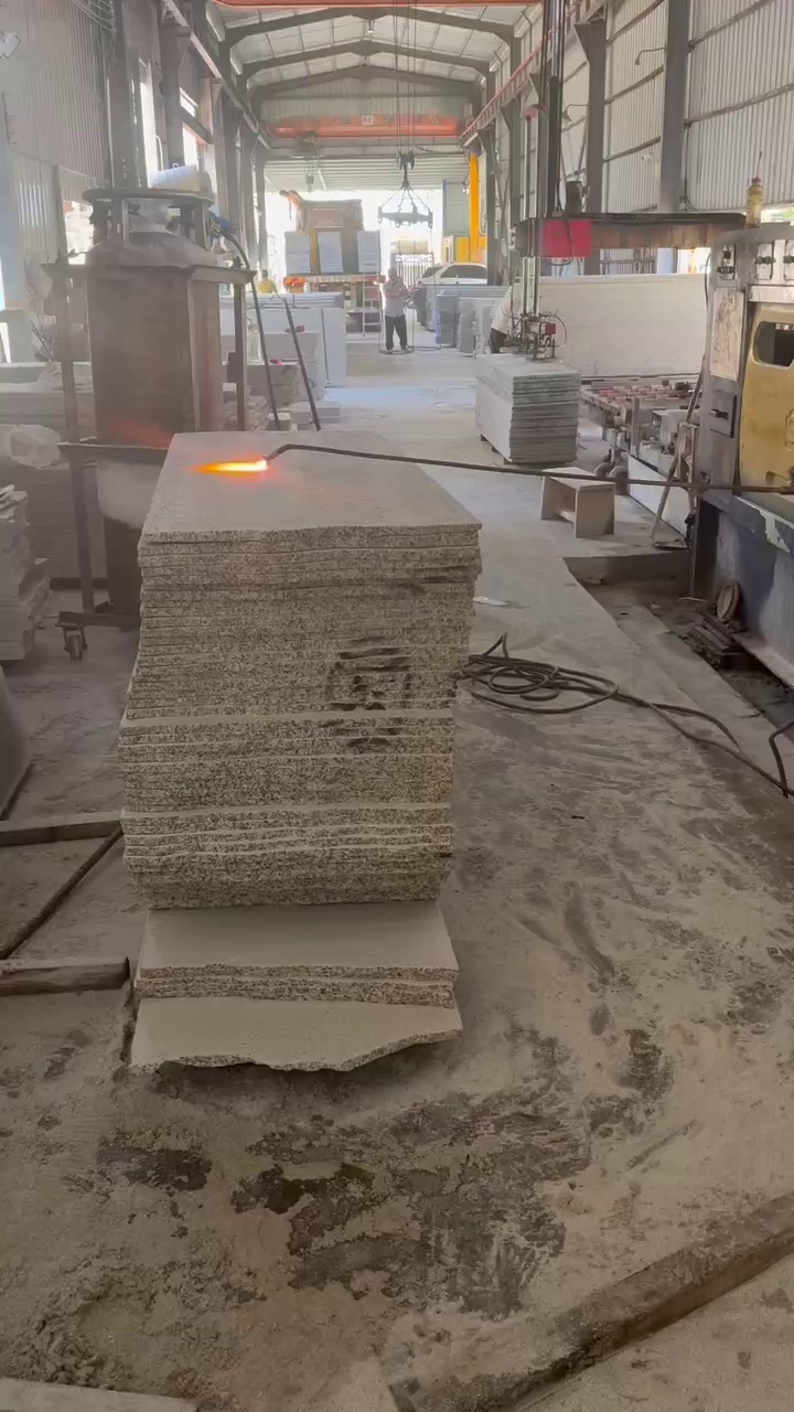 广东白麻G623、珍珠花、潮州红(粉红麻)、新矿桃花红、古典灰麻、石井虾红G63