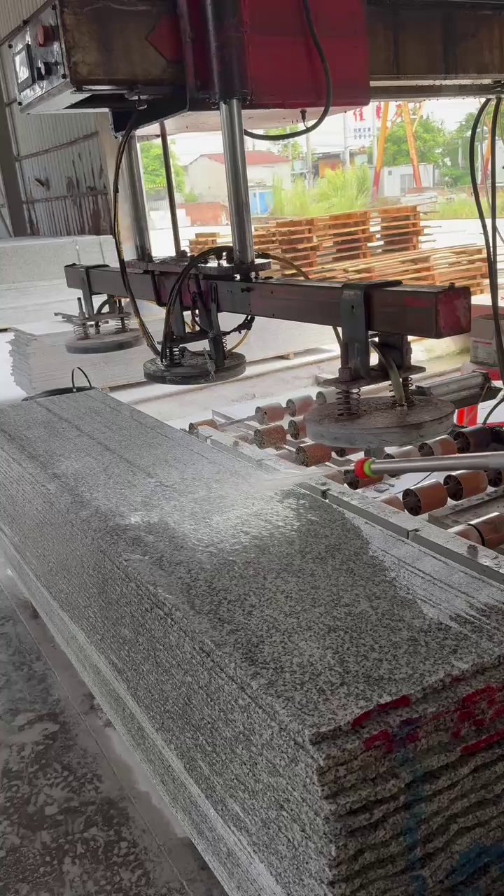 广东白麻G623、珍珠花、潮州红(粉红麻)、新矿桃花红、古典灰麻、石井虾红G63