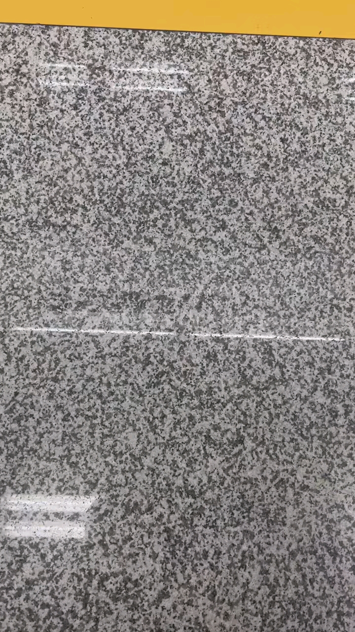 芭拉白白玉兰广东白麻623潮州红芭拉花巴拉花吉林白象牙白