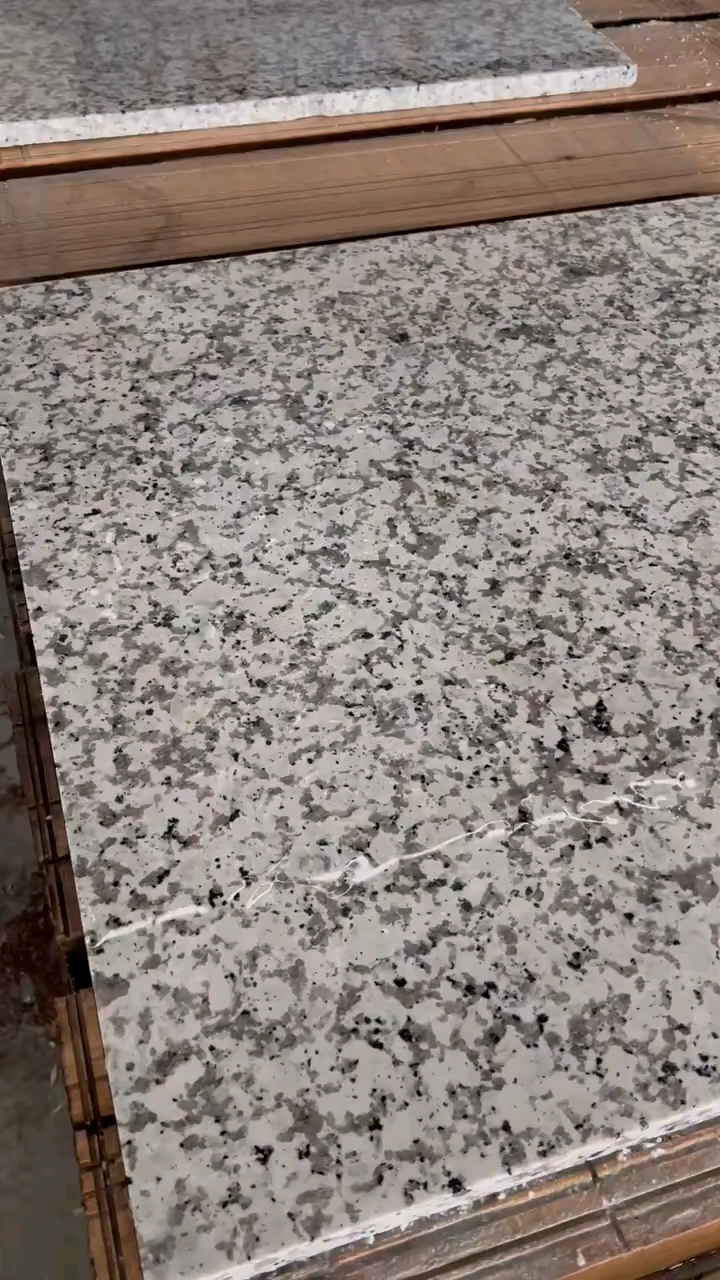 芭拉白白玉兰广东白麻623潮州红芭拉花巴拉花吉林白象牙白