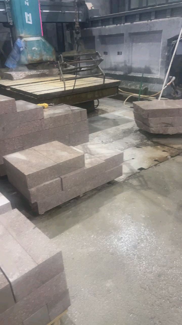 永定红G696中花大红中花中红小白花永定虾红红底白底永定冰