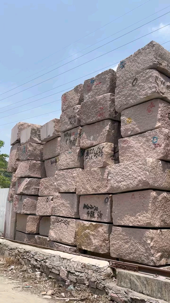 芭拉白白玉兰广东白麻623潮州红芭拉花巴拉花吉林白象牙白