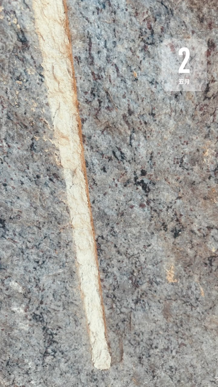 金茂兰15860786717独家包矿