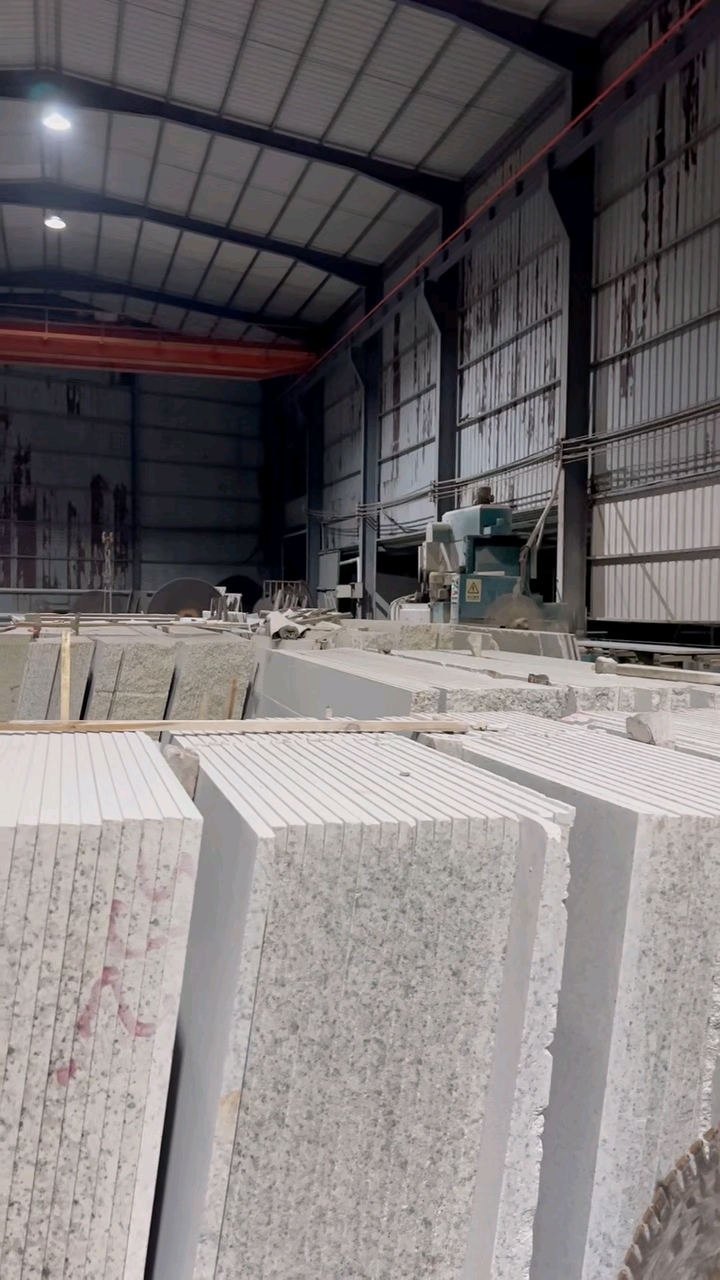 芭拉白白玉兰广东白麻623潮州红芭拉花巴拉花吉林白象牙白