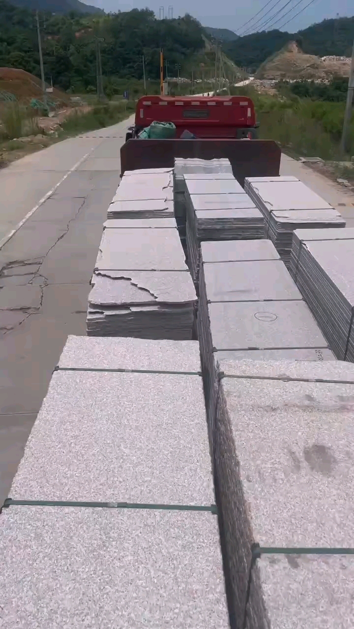 永定红G696中花大红中花中红小白花永定虾红红底白底永定冰