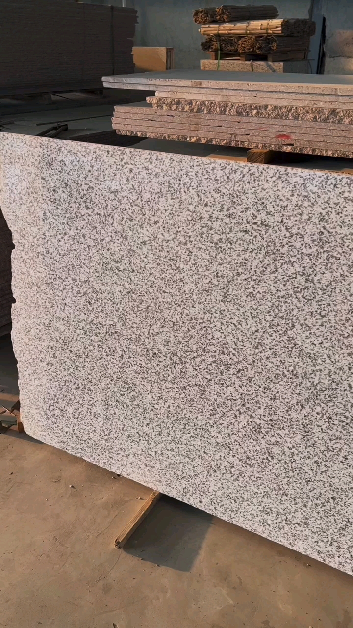 芭拉白白玉兰广东白麻623潮州红芭拉花巴拉花吉林白象牙白