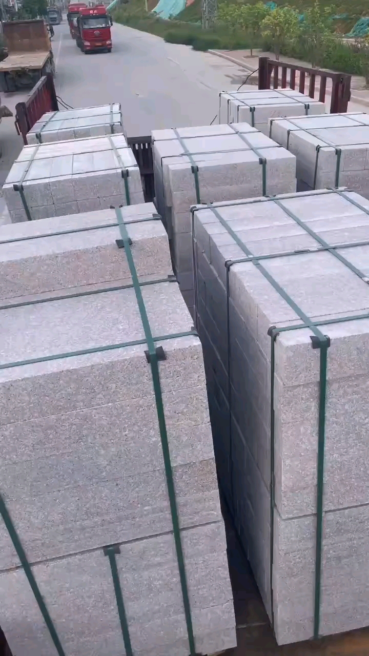 永定红G696中花大红中花中红小白花永定虾红红底白底永定冰