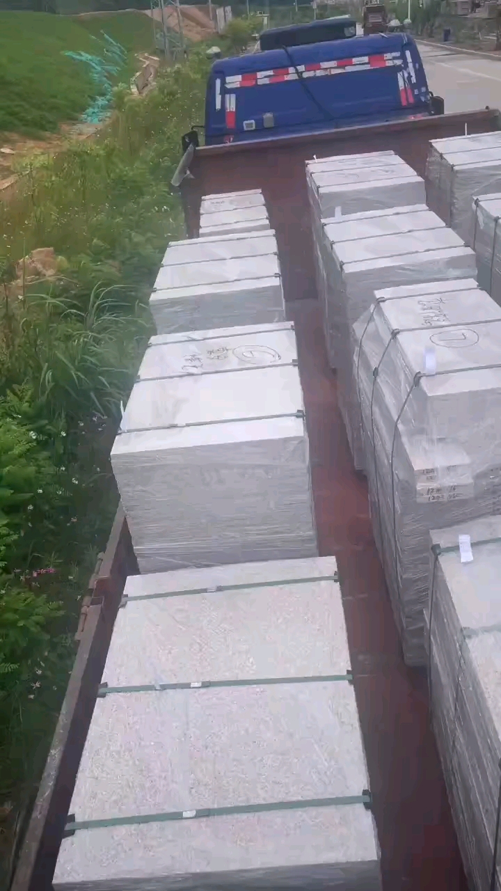 永定红G696中花大红中花中红小白花永定虾红红底白底永定冰