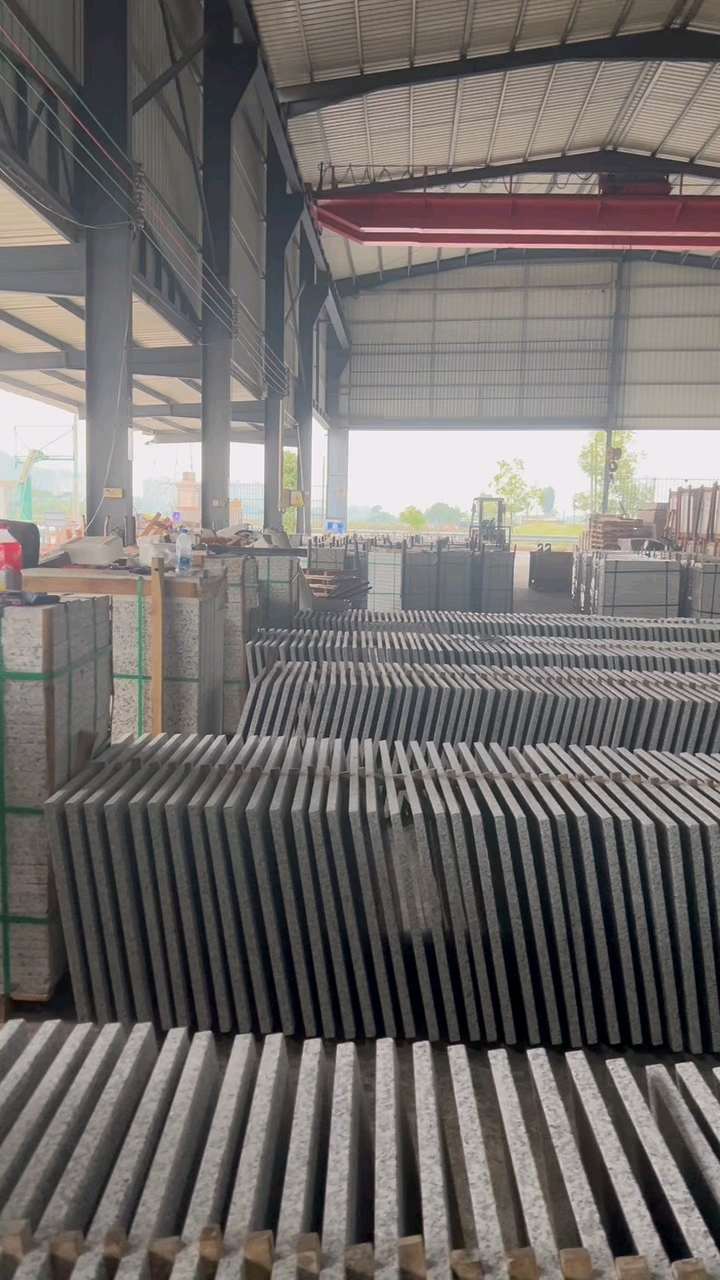 芭拉白白玉兰广东白麻623潮州红芭拉花巴拉花吉林白象牙白