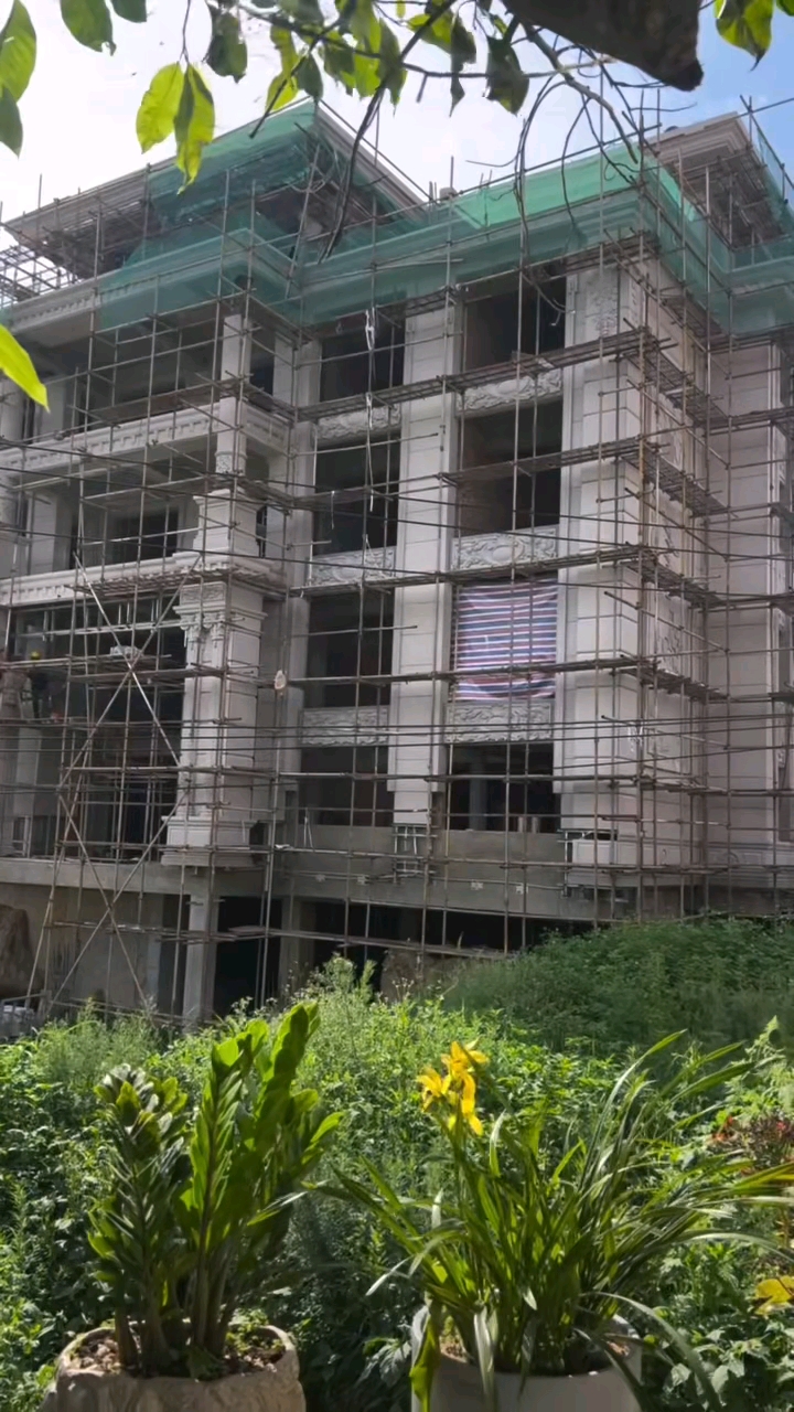 永定红G696中花大红中花中红小白花永定虾红红底白底永定冰