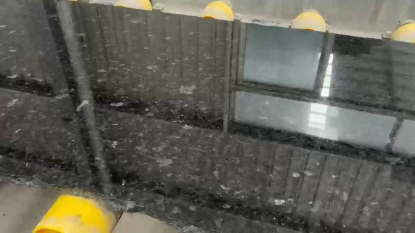 安哥拉黑15860786717