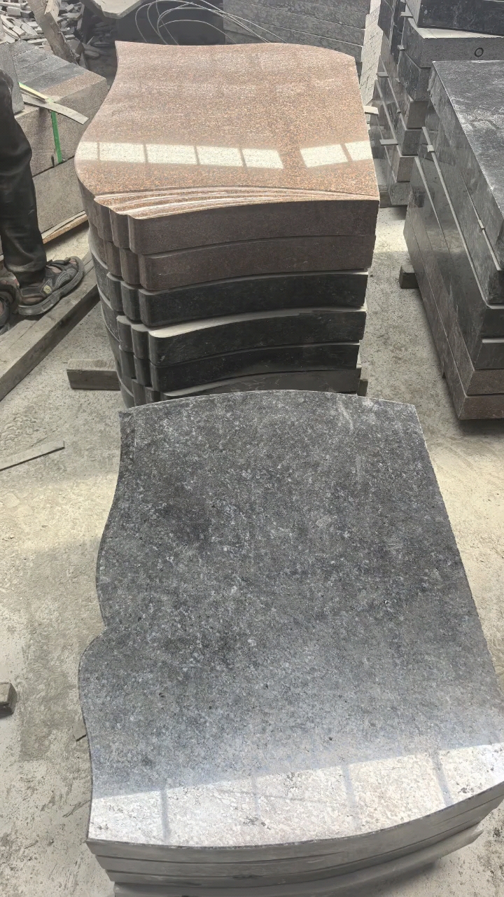 河北厂家直销山西黑滨州青易县黑北大青河北黑蝴蝶兰蝴蝶绿万年青