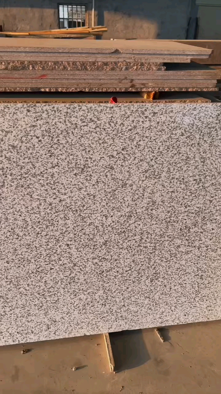 芭拉白白玉兰广东白麻623潮州红芭拉花巴拉花吉林白象牙白