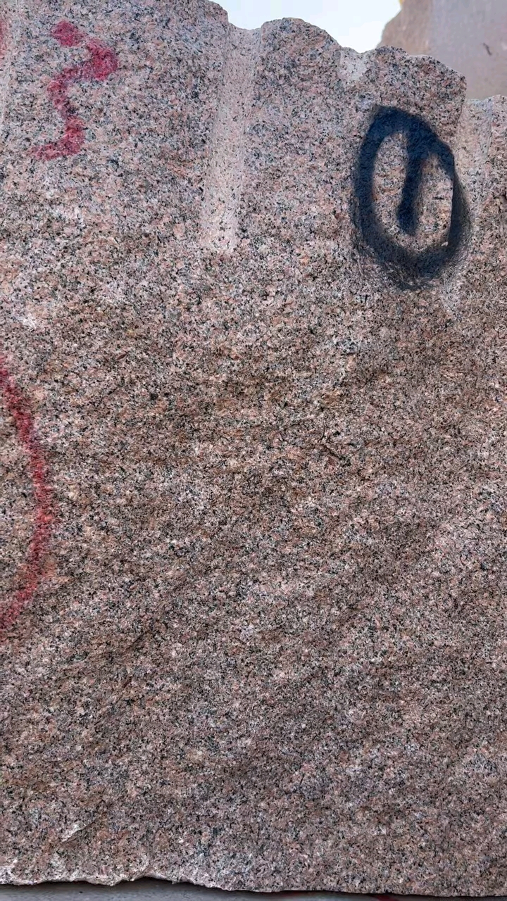 芭拉白白玉兰广东白麻623潮州红芭拉花巴拉花吉林白象牙白