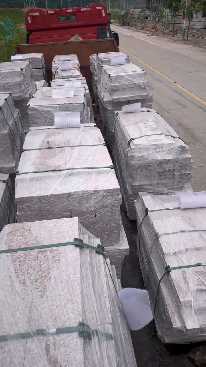 永定红G696中花大红中花中红小白花永定虾红红底白底永定冰