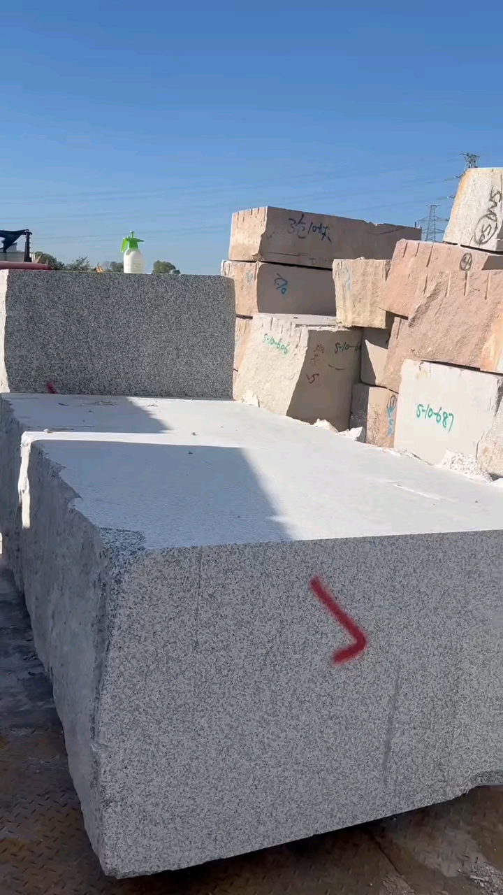 芭拉白白玉兰广东白麻623潮州红芭拉花巴拉花吉林白象牙白