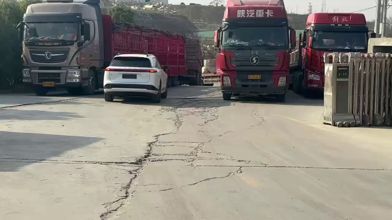 黄金钻白金钻黄金麻白麻卡基诺金