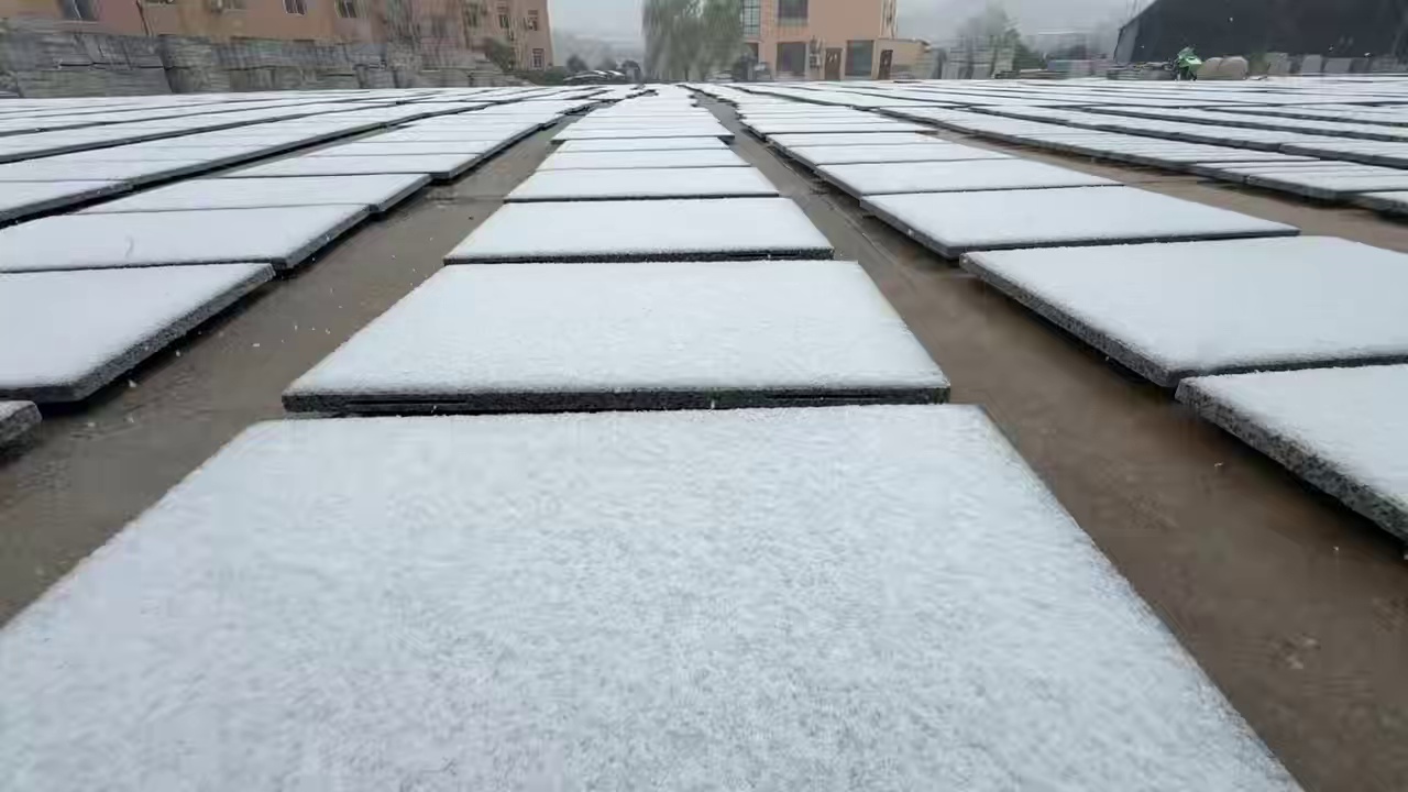 黄金钻白金钻黄金麻白麻卡基诺金