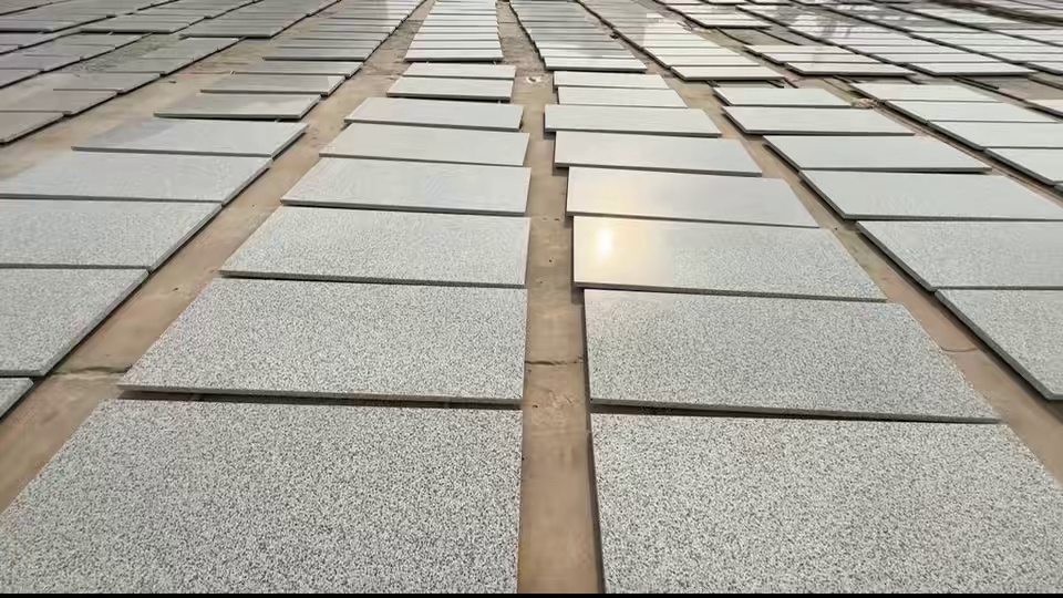 黄金钻白金钻黄金麻白麻卡基诺金