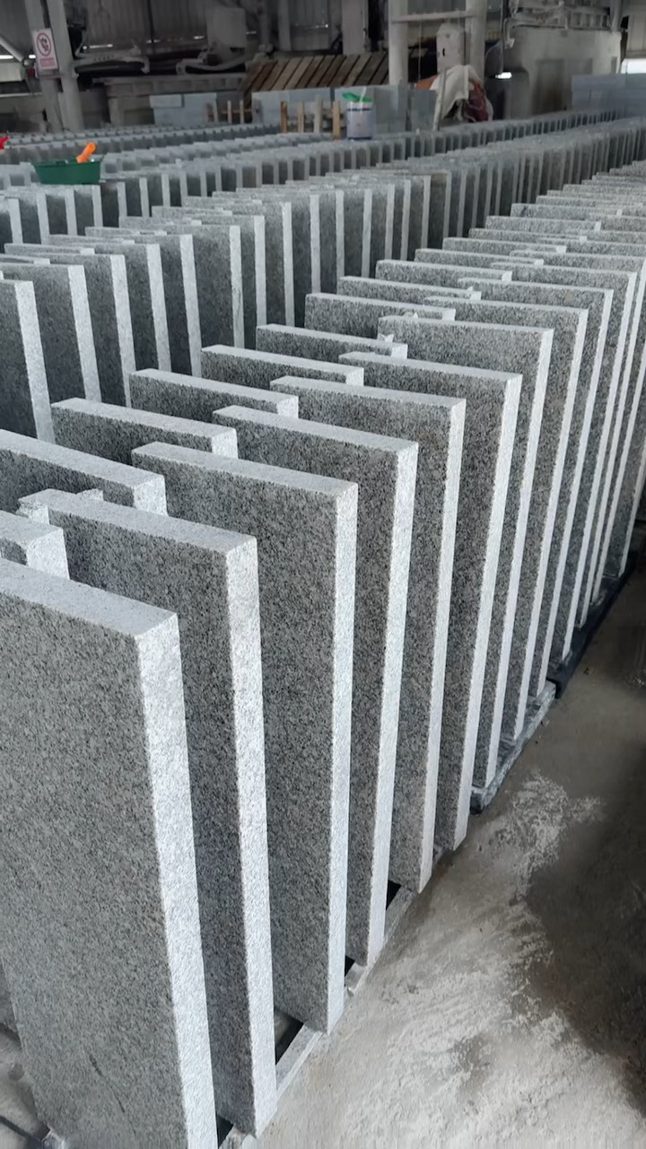 廉江芝麻白，廉江芝麻灰