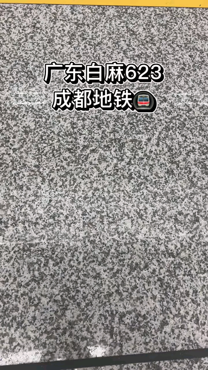 芭拉白白玉兰广东白麻623潮州红芭拉花巴拉花吉林白象牙白