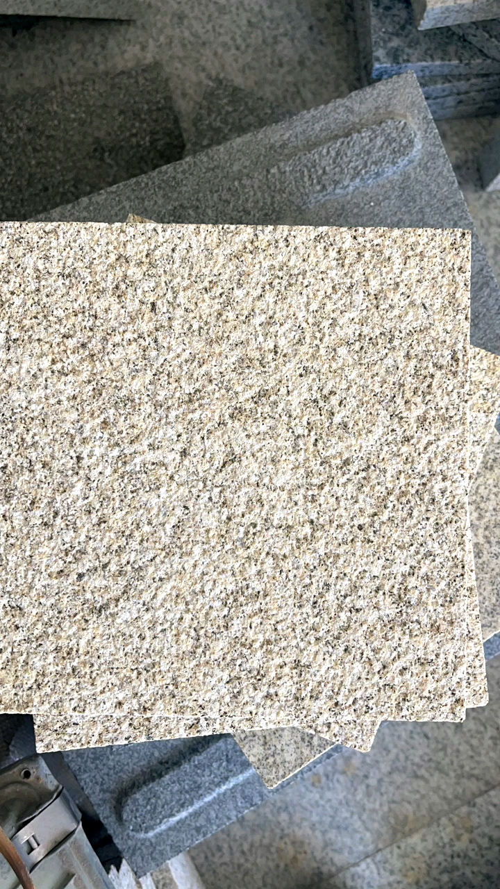 山东黄金麻山东白麻樱花红樱花灰晶白玉芝麻灰芝麻白牟平白麻虾红